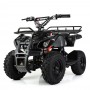 Детский квадроцикл PROFI HB-EATV 800N-19 V3: 30км/ч, 36V, 800W до 65 кг - КАРБОН