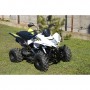 Квадроцикл SkyBike STINGER-150: 50 км/ч, до 140 кг, 163×92×105 см - БЕЛЫЙ