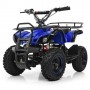 Детский квадроцикл PROFI HB-EATV 800N-4 V3: 30км/ч, 36V, 800W до 65 кг - СИНИЙ