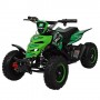 Детский квадроцикл PROFI ATV 5E-5: 800W, 30 км/ч - ЗЕЛЕНЫЙ
