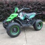 Детский квадроцикл PROFI ATV 5E-5: 800W, 30 км/ч - ЗЕЛЕНЫЙ