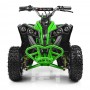 Квадроцикл PROFI HB-EATV 1000Q-5: 1000W, 48V - ЗЕЛЕНЫЙ