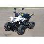 Квадроцикл SkyBike STINGER-150: 50 км/ч, до 140 кг, 163×92×105 см - БЕЛЫЙ