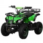 Детский квадроцикл PROFI HB-EATV 800N-5 (MP3): 30км/ч, 36V, 800W до 100 кг - ЗЕЛЕНЫЙ